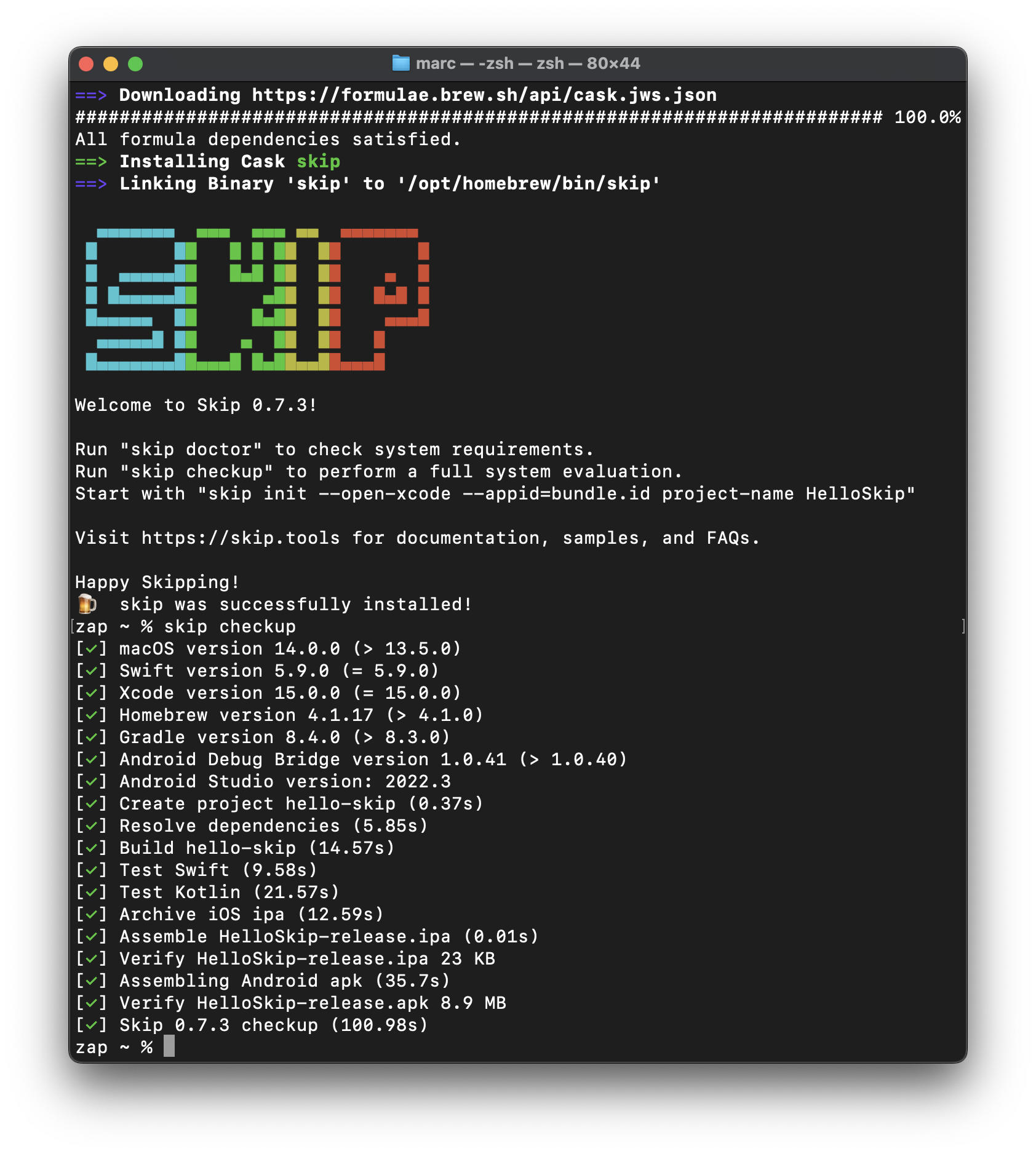 Screenshot of terminal skip checkup command output