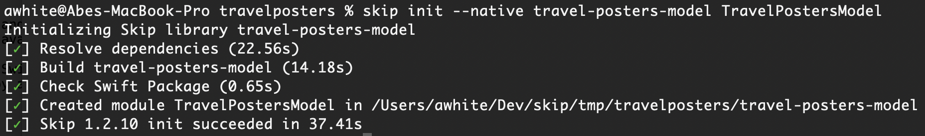 Output of running skip init --native